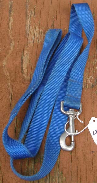 Nylon Lead with Bolt Snap 1" Nylon Dog Leash Blue