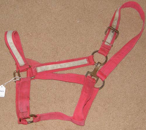 Draft Horse Halter Nylon Halter Red/White