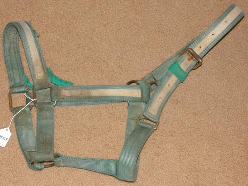 Draft Horse Halter Draft Nylon Halter with Throat Snap Green/White