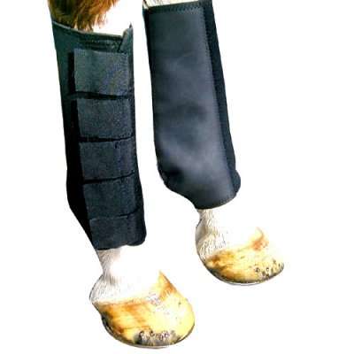 Neoprene Tendon/Ankle Boots Splint Boots Tendon Boots Leg Protection M Horse Black