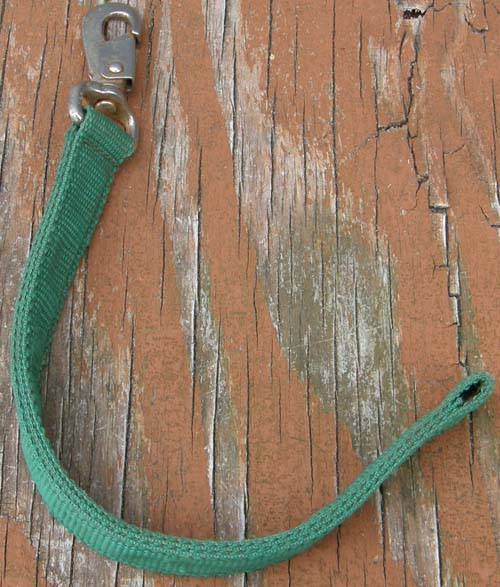 Nylon Strap with Swivel Snap Green Foal Catch Strap