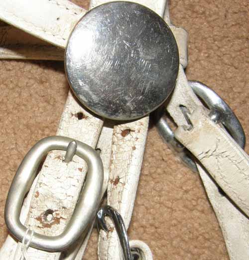 Draft White Leather Show Halter Draft Show Halter & Lead with Chain Weanling Draft Foal