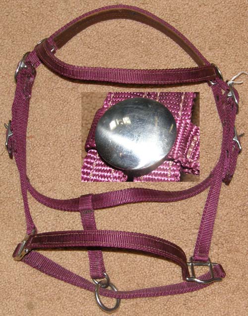Draft Foal Yearling Nylon Show Halter Draft Show Halter Sunday Halter Presentation Halter
