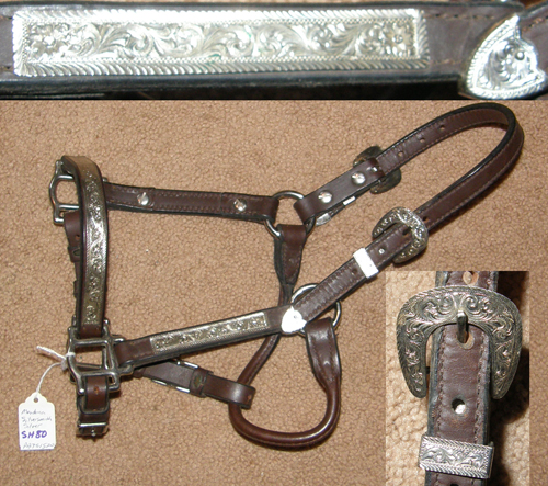 Weanling Foal Western Stock Show Halter Class B Mini Halter Miniature Horse Show Halter Montana Silversmiths Buckles
