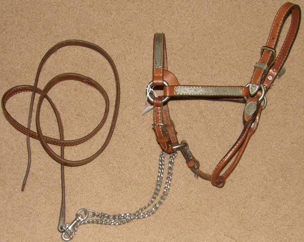 Vintage Circle Y Western Stock Show Halter Silver Show Halter with Chain Lead Shank Alpaca Mexico Silver Chestnut Cob/Yearling Horse