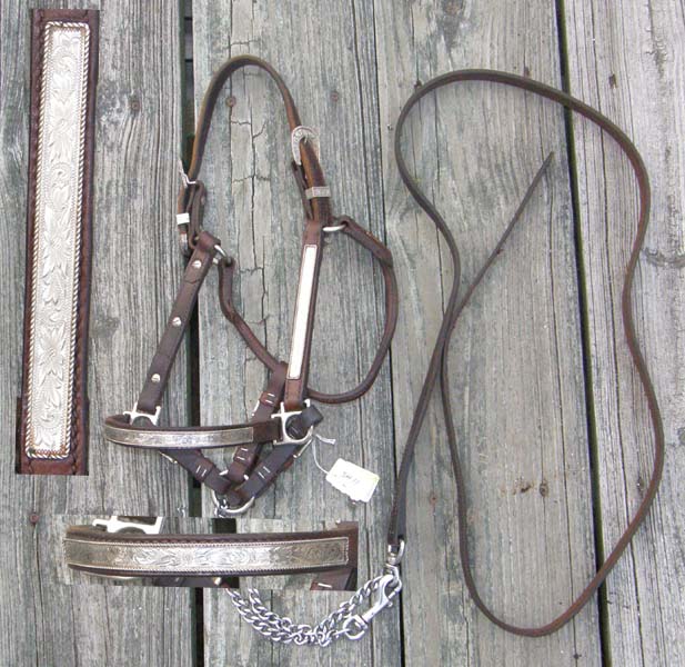 Billy Royal? Yearling Show Halter S Horse Western Stock Show Halter Horse Show Halter Mitch Harrison Chain Lead