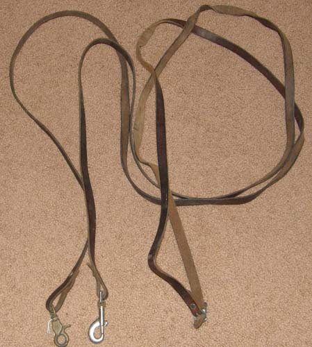 Busse Solibel Quality Draw Reins Continental Web & Cord with Leather Girth Loop 