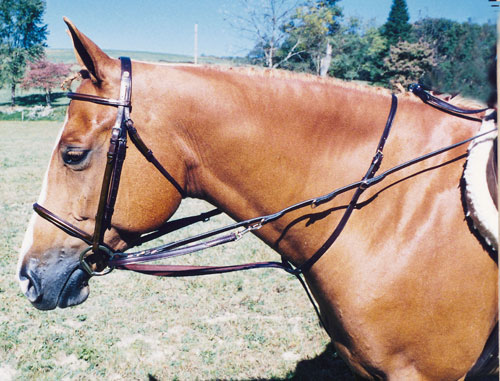 Tory Leather German Martingale with Reins Headsetter Head Setting Aide