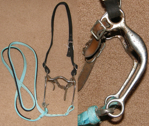 Nylon Western Bridle 5” Grazing Bit Curb Chain Western Headstall Gaming Reins Black/Aqua Teal Western Bridle Roper Reins Horse